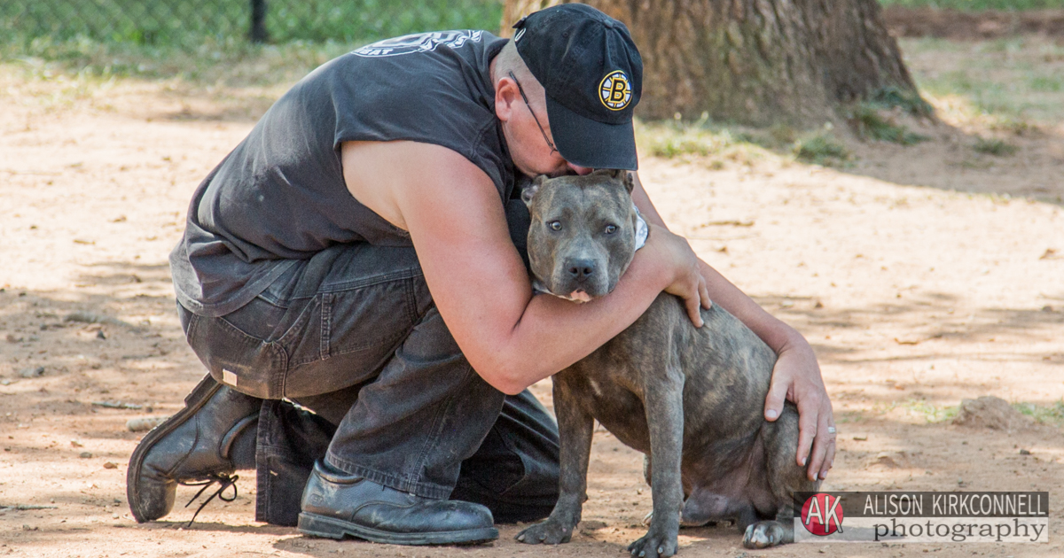 Animal Shelter Dog Portrait- Fort Mill, South Carolina Photographer