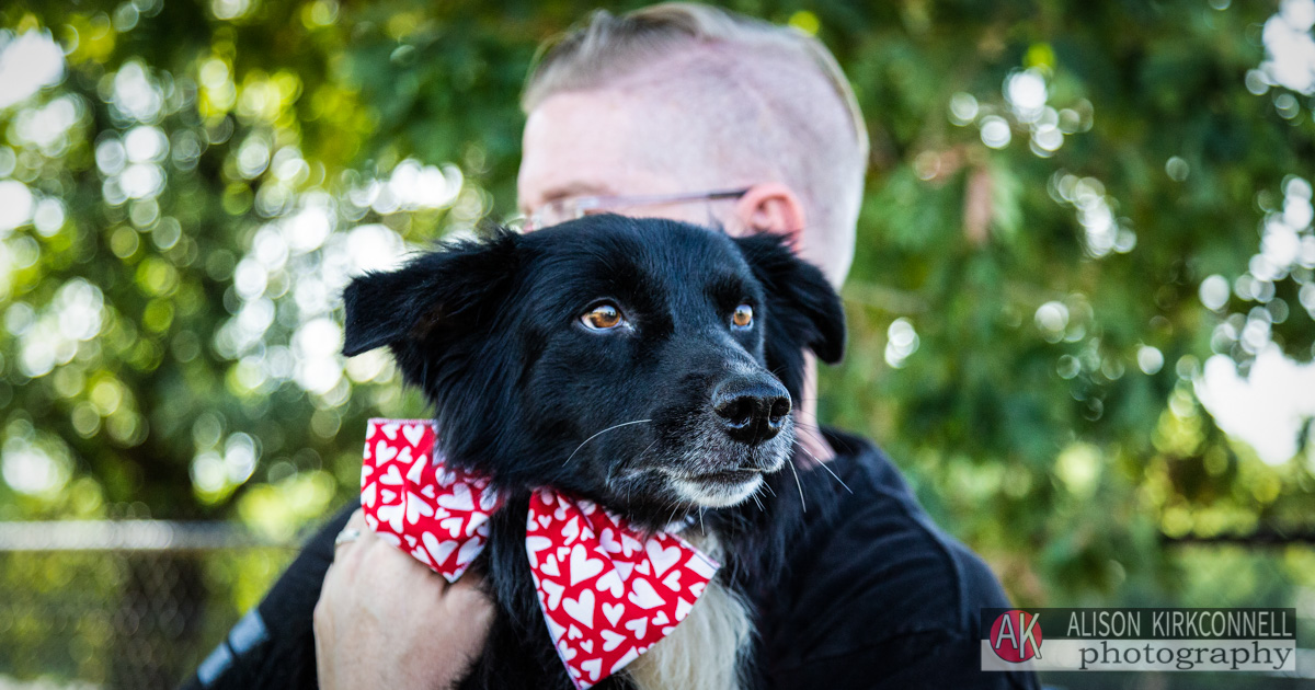 Animal Shelter Dog Portrait- Fort Mill, South Carolina Photographer