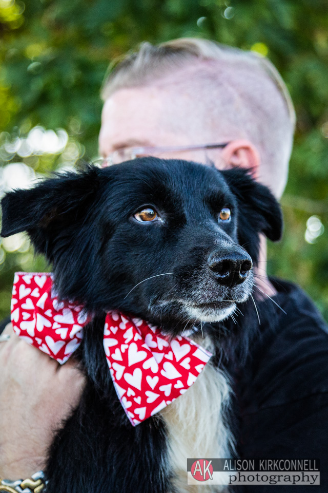 365 Shelter Dogs Day 234